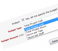 Specify project budget