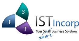 International Systems Technology Incorporated International Systems Technology Incorporated