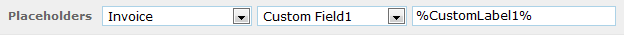 custom field placeholder