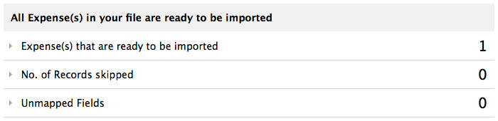 Import expense preview