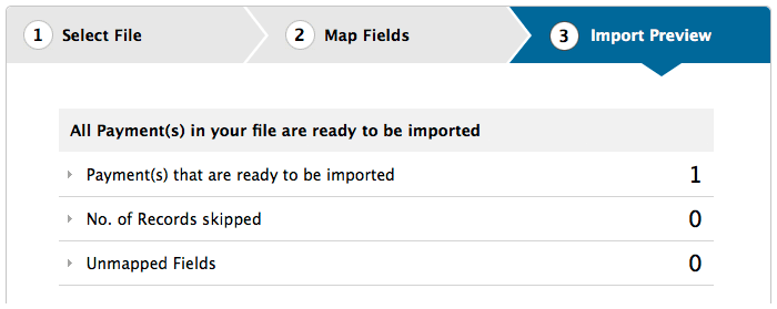 Import payment preview