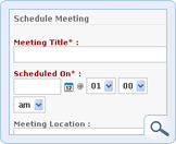 Schedule Meeting