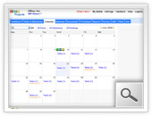 Project Calendar