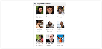 Project and team details