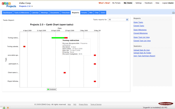 Project Status Report