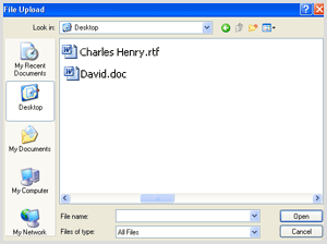 import-browse-file