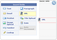 custom-fields-thumb