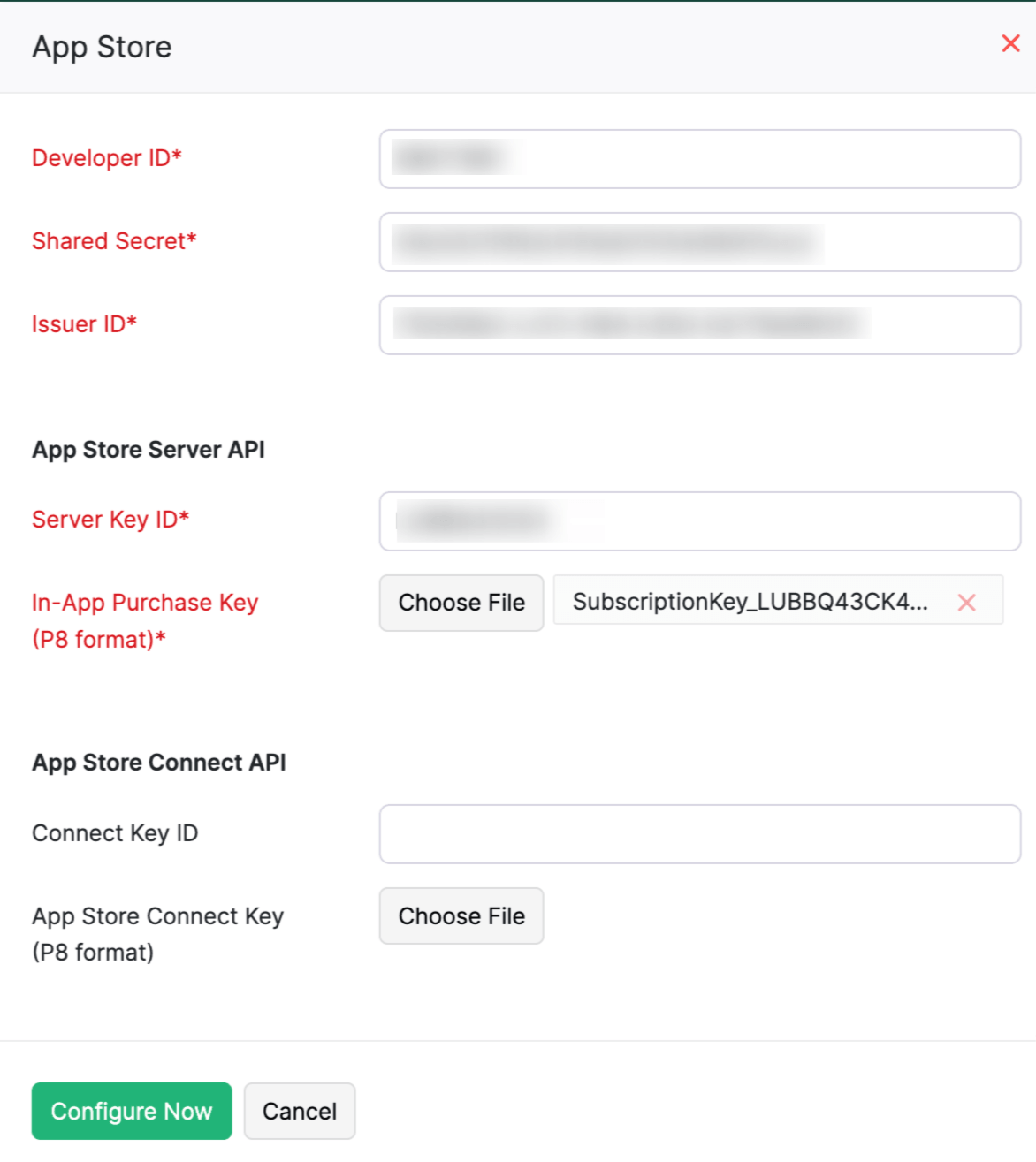 App Store configuration form filled