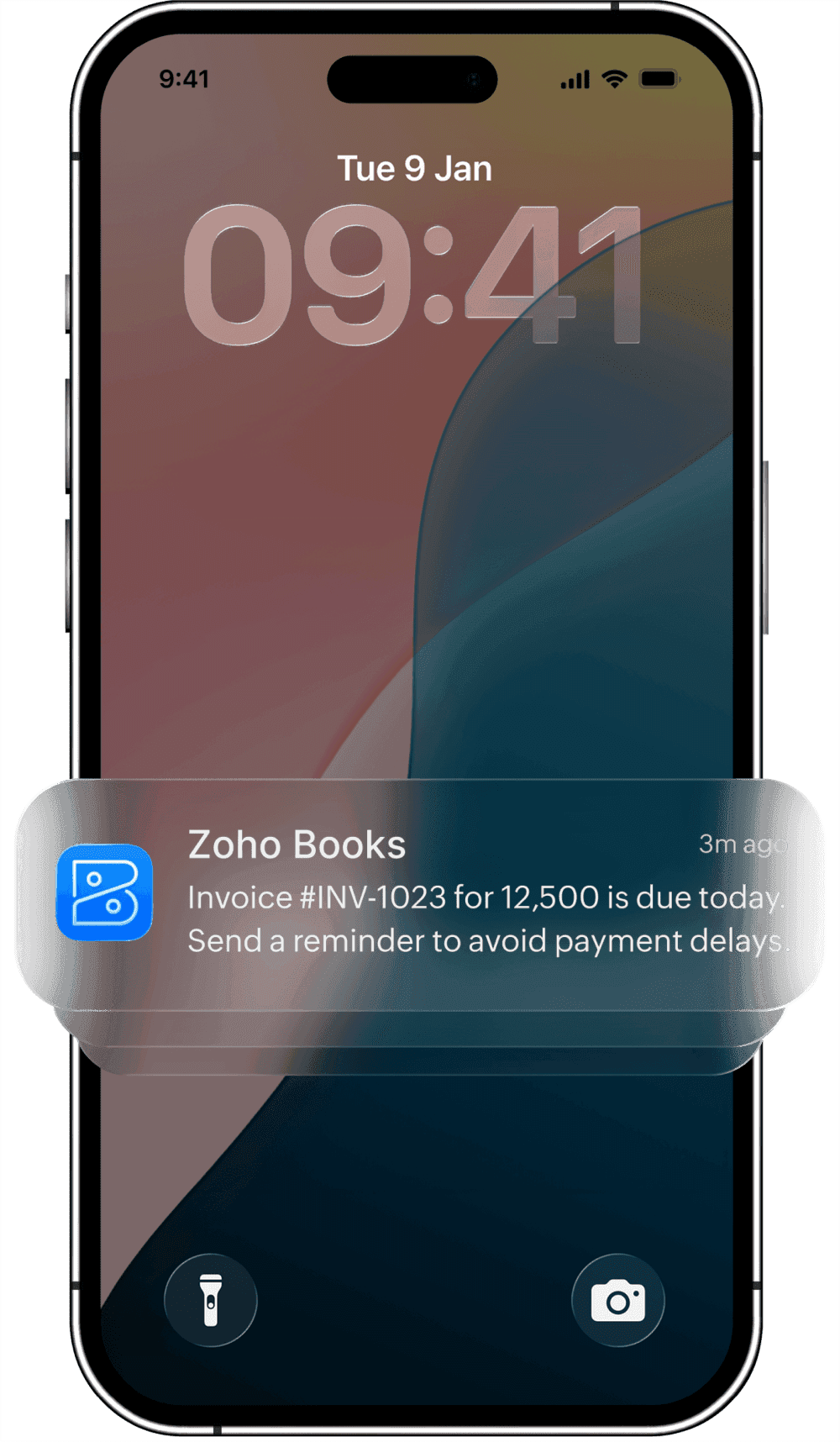 Zoho Books notification