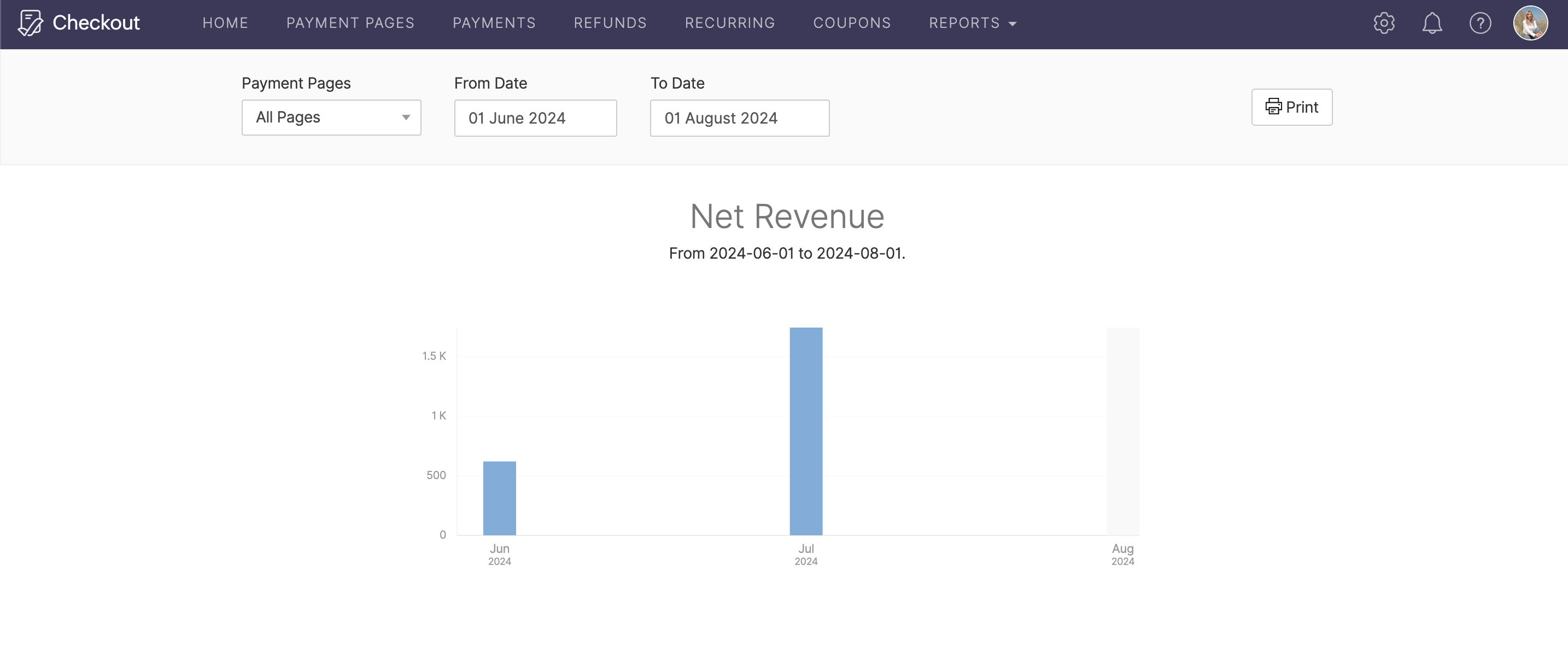 Net Revenue Image