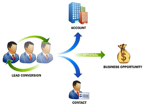 zoho crm lead management