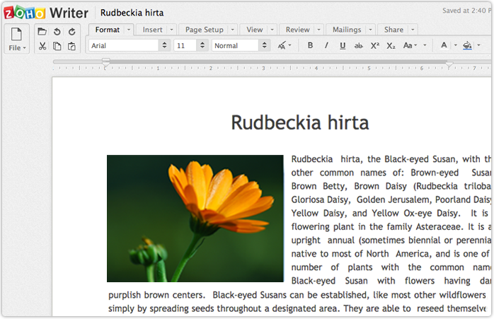 online word processor online word processor