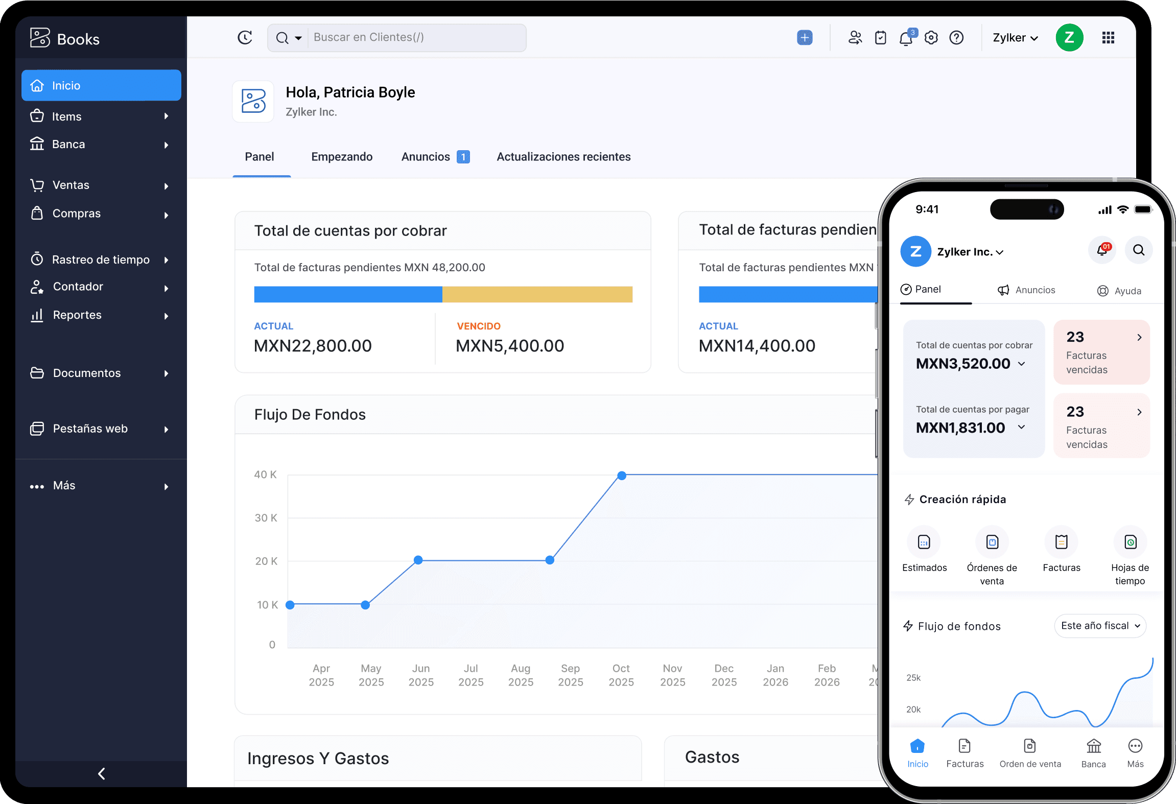 Panel de Zoho Books