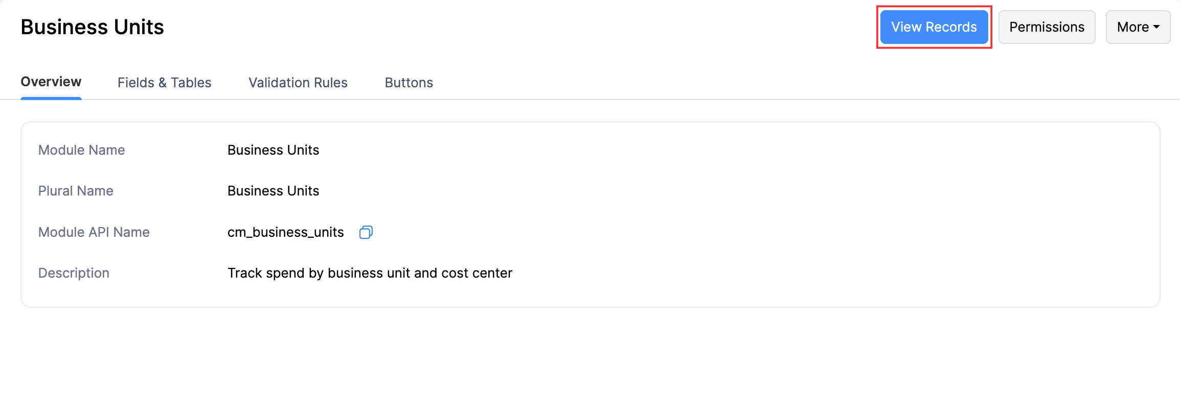 The All tab of a custom module. Click View Records to see all records in the custom module.