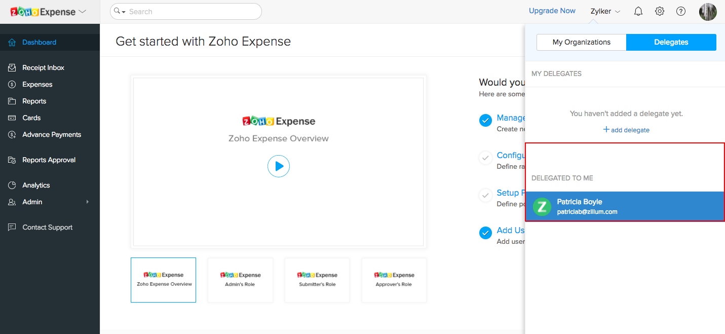Delegate&rsquo;s view