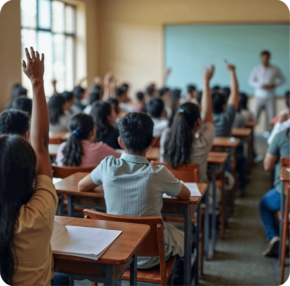 Schools and universities