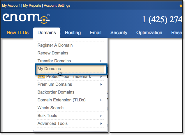 ENOM DNS configuration