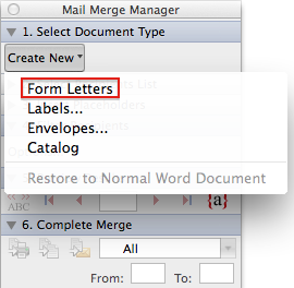... create formatted/branded resume template document in MS Word for Mac ... create formatted/branded resume template document in MS Word for Mac